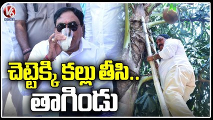 Minister Errabelli Dayakar Rao Climbs Toddy Tree and Drinks Toddy Water _ V6 News