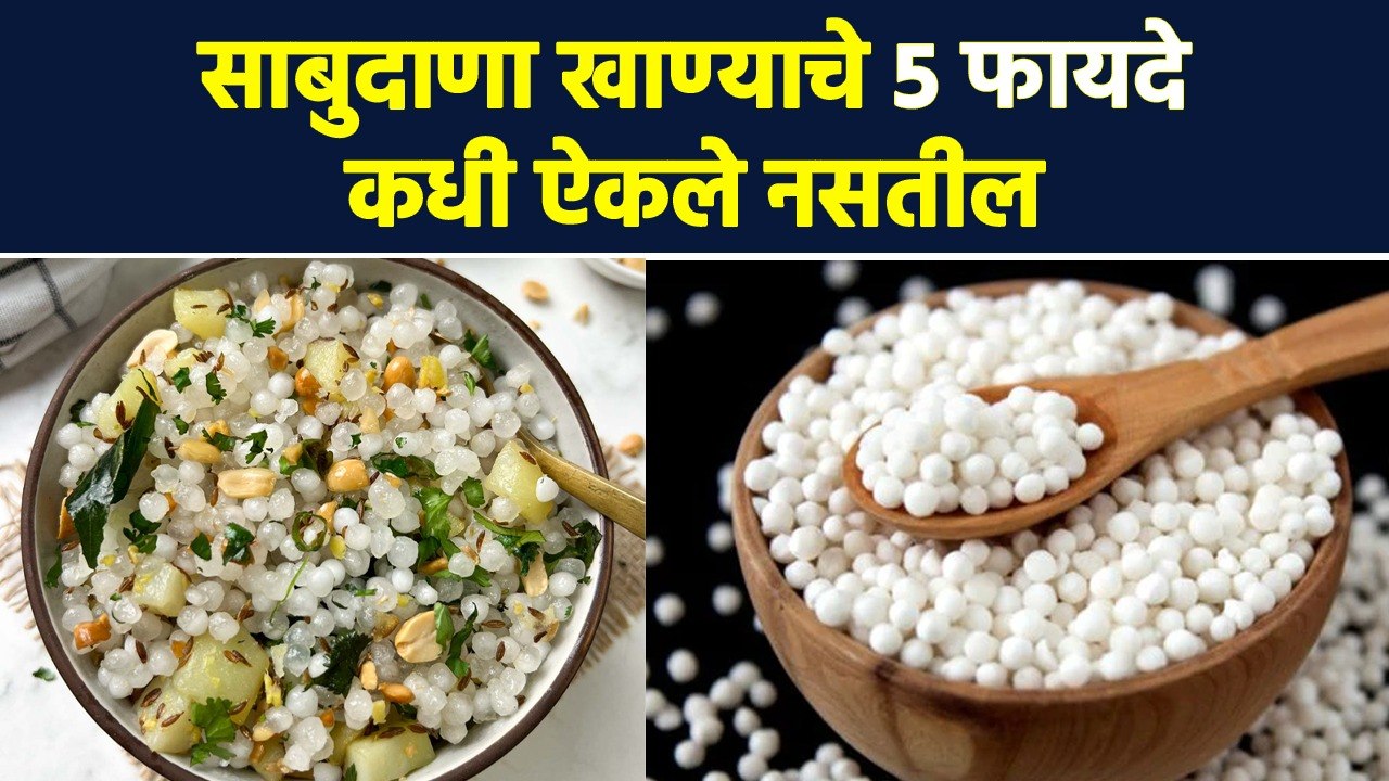 1 वाटी साबुदाणा 5 आजार पळवून लावेल | 5 Amazing...