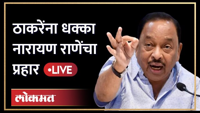 Narayan Rane Live: नारायण राणेंची सुप्रीम निकालानंतर पत्रकार परिषद... ठाकरेंवर काय बोलणार? Thackeray