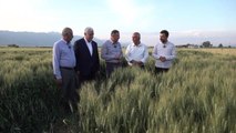 Hatay Büyükşehir Belediye Başkanı Lütfü Savaş, çiftçilerle bir araya geldi