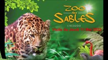 Visite au Zoo des Sables D ' Olonne ( Vendée ) , Jeudi 11 Mai 2023