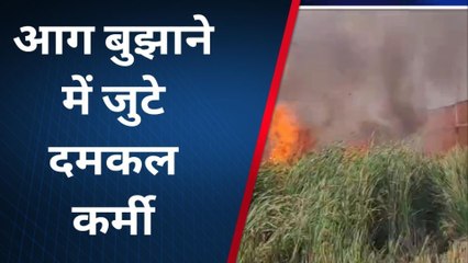 बलरामपुर: तुलसीपुर में लगी भीषण आग, असमान में उठ रहा धुआँ