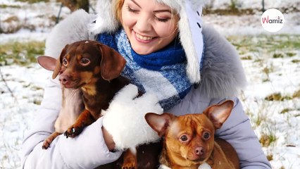 80% des Français considèrent que leurs animaux sont "une véritable source de joie", d’après une étude