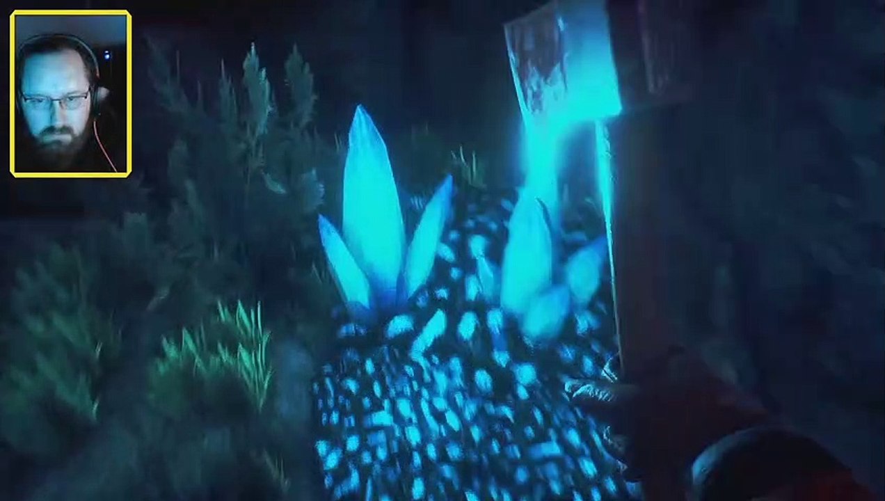 Tiefer in die Anlage hinein. Conarium #9