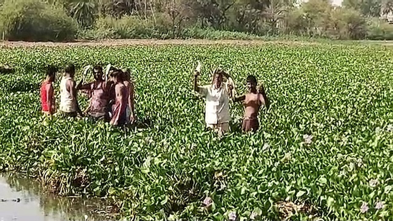 Fishermen committee had given application for cleaning the pond a month and a half ago
