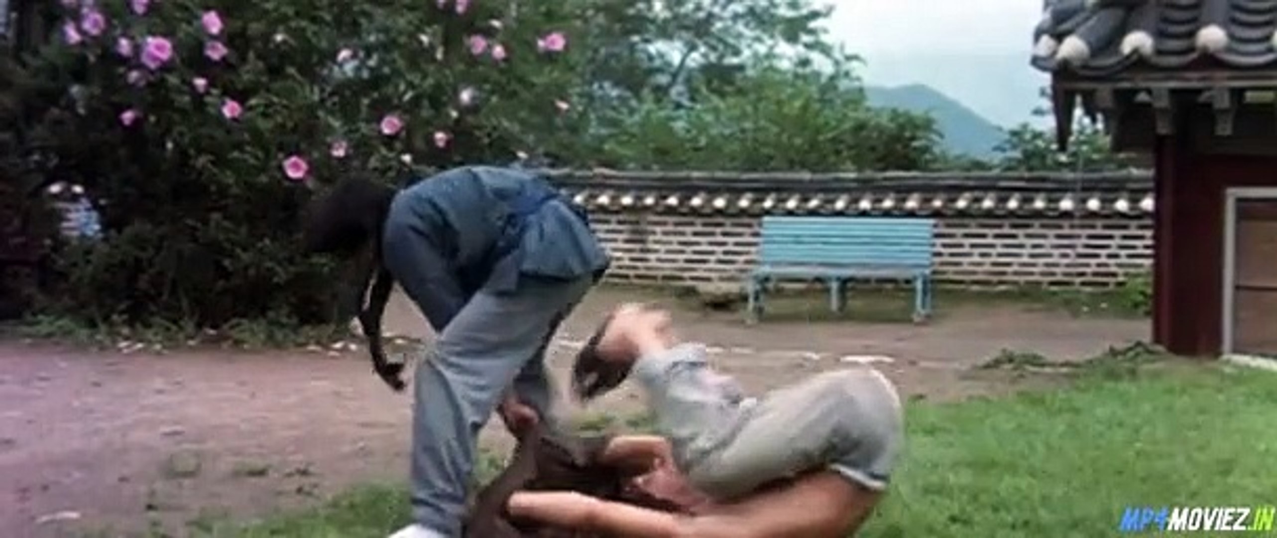 Fearless-Hyena-2-(1983) Action|Adventure|comedy