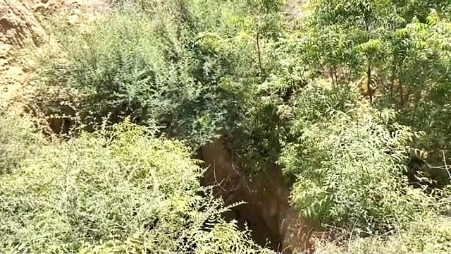 दौसा. अनियंत्रित बाइक 40 फीट गहरे सूखे कुएं में गिरी, एक युवक की मौत व दो घायल