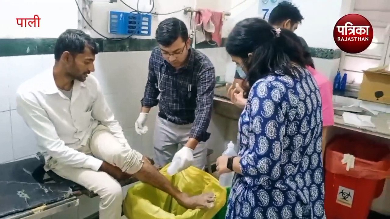 Dog Bite: श्वानों का आतंक, फिर तीन जनों को काटा...