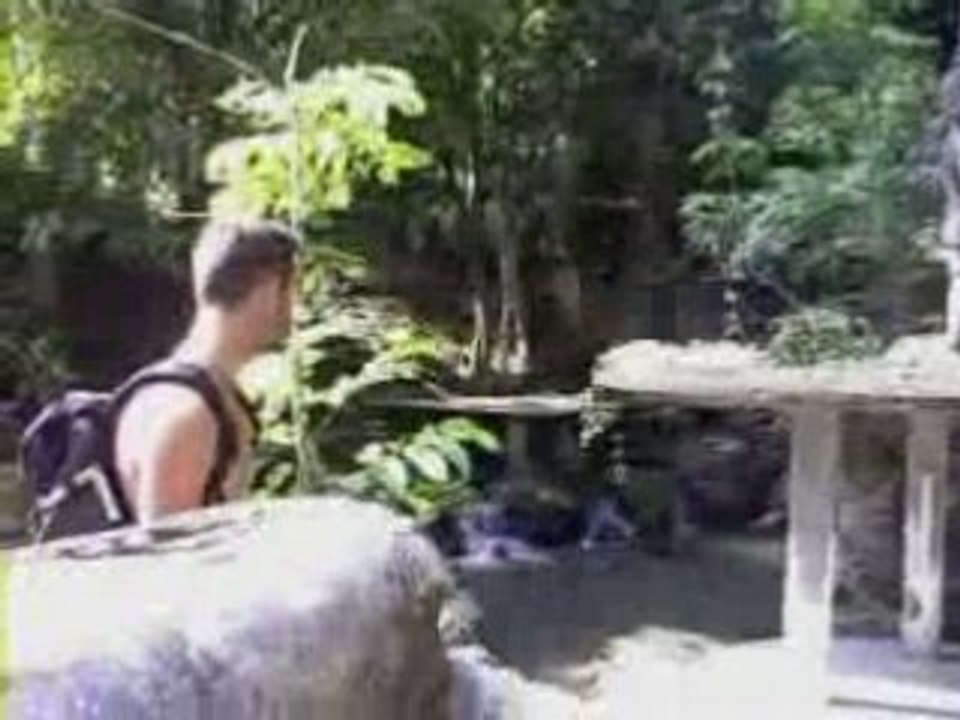 Magic garden 0