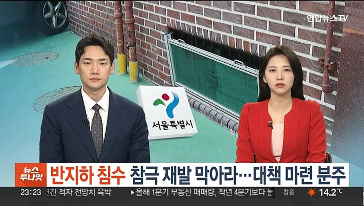 '반지하 침수' 참극 재발 막아라…대책 마련 분주