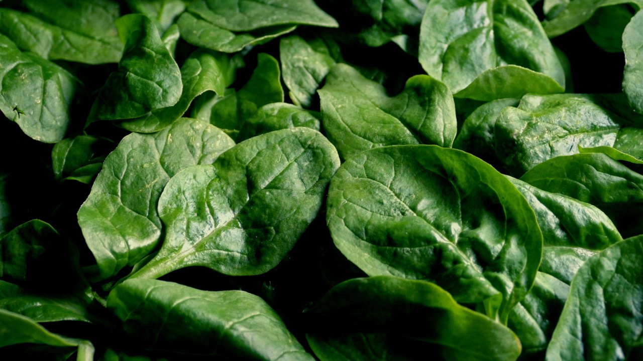 bagged-spinach-kale-and-collard-greens-recalled-over-possible