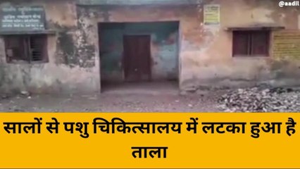 महोबा: पशु चिकित्सा कार्यालय में लटका रहा ताला