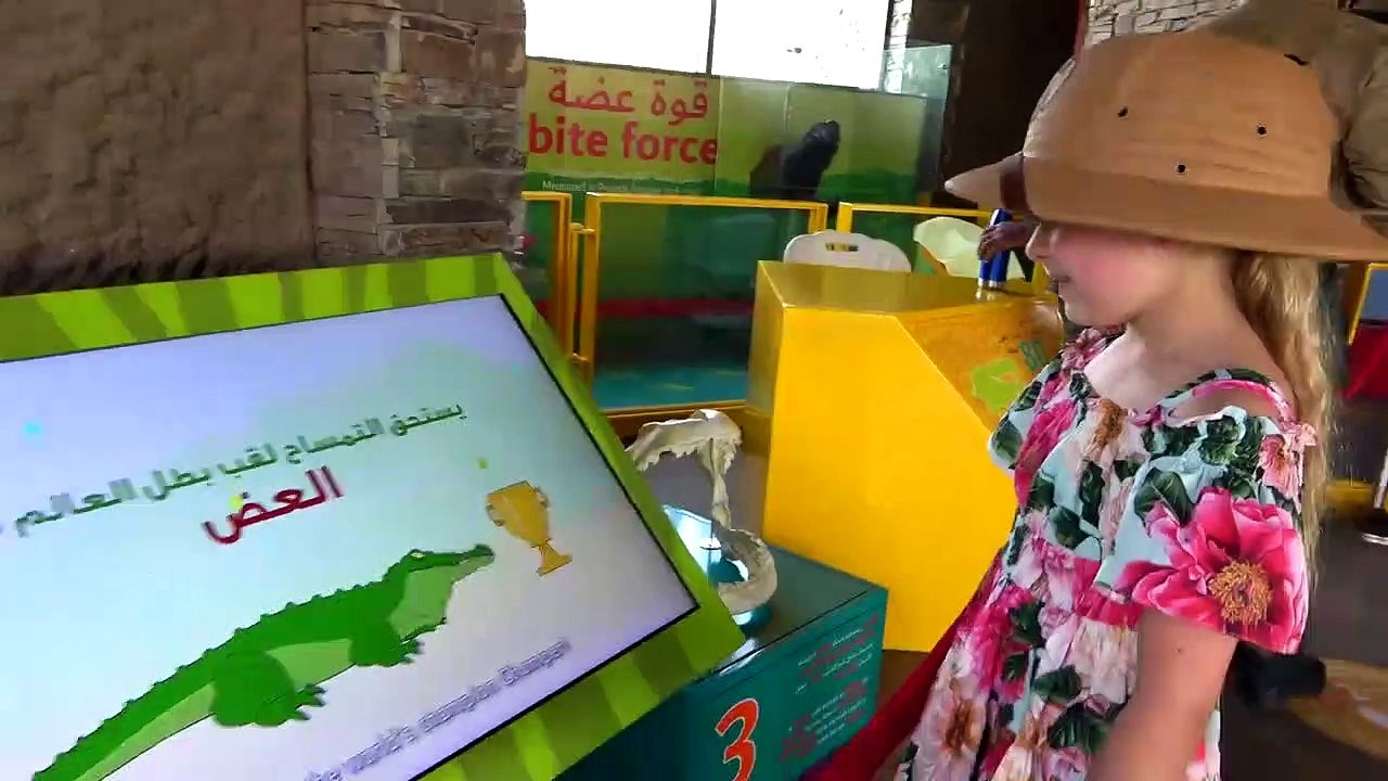 Diana and Roma at the Zoo. Learning about Animals Adventure. (1)