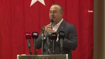 Bakan Çavuşoğlu: 