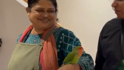 The heartwarming story of a Lovebird who found family in strangers