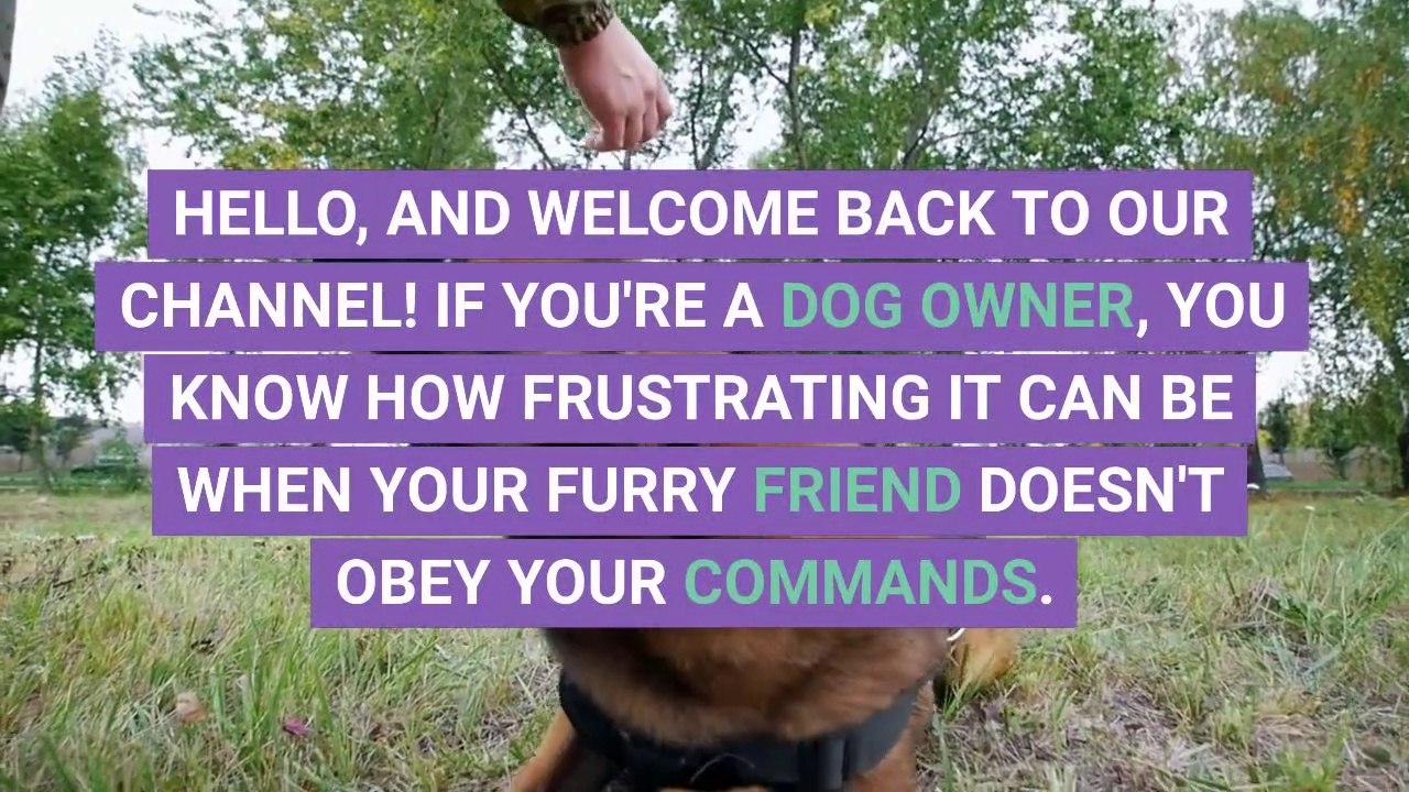 Are you tired of your dog ignoring your commands? In this video, we explore 10 reasons why your furry friend may not be listening to you, and what you can do to fix it. From distractions and lack of training, to fear and anxiety, we cover it all. We also