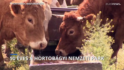 50 éves a Hortobágyi Nemzeti Park