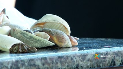 ext-decomiso-conchas-regreso-110523