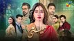 Meesni - Episode 81 - ( Bilal Qureshi, Mamia, Faiza Gilani ) 11th May 2023 - HUM TV
