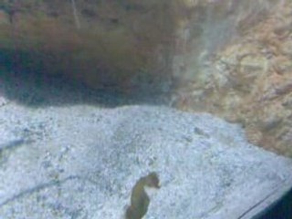 Vidéo002