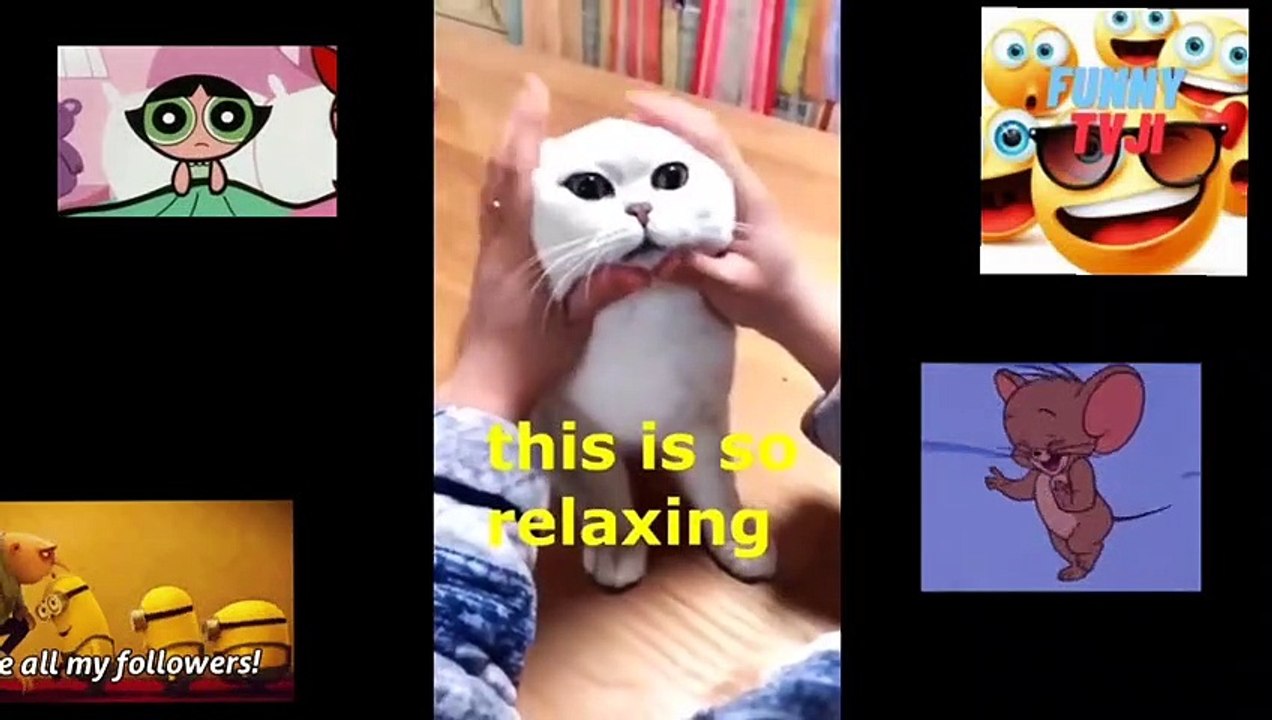 SUPER DUPER FUNNY 44