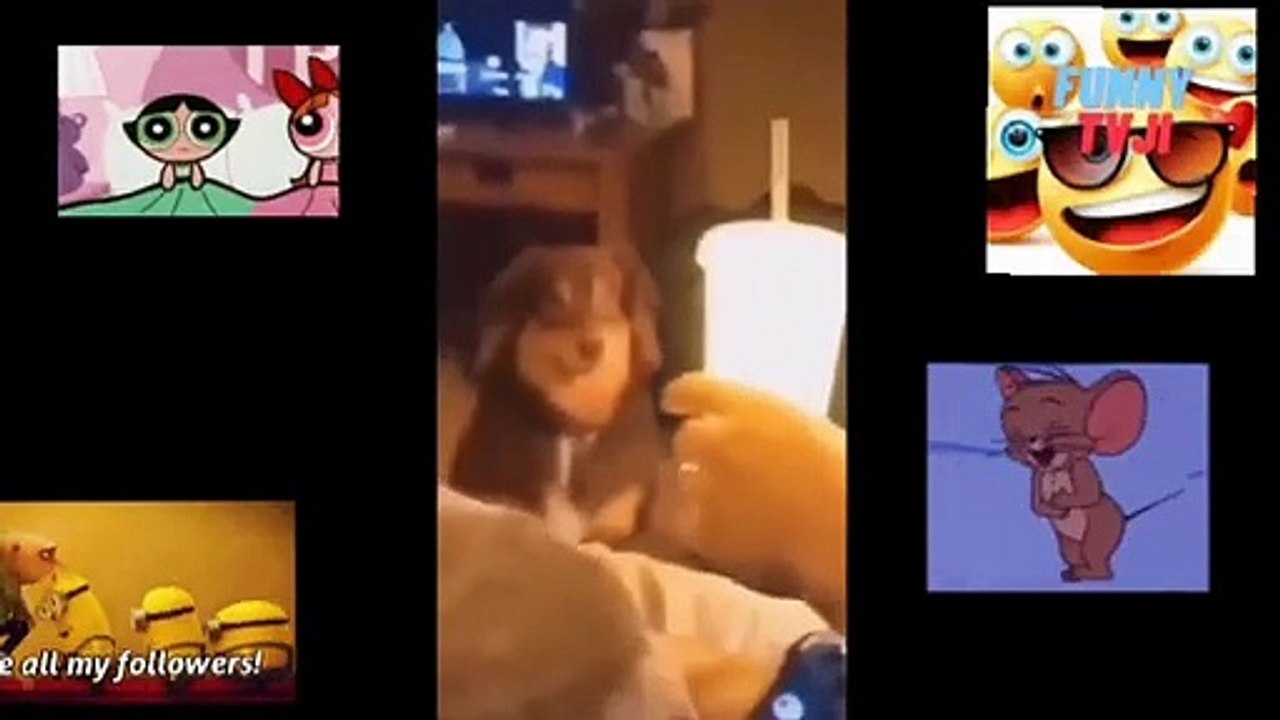THEY ARE REALLY FUNNY 4