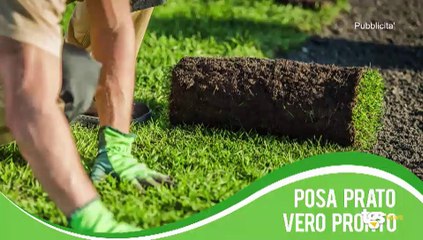 Il notiziario di Tgs edizione del 11 maggio – ore 13.50