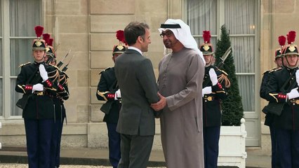 ماكرون يستقبل الشيخ محمد بن زايد آل نهيان