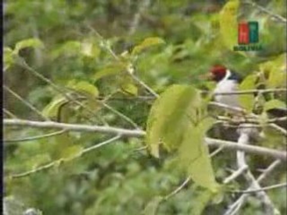 BOLIVIE: A la découverte de la Bolivie