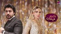 Aik Hath Mehndi - Episode 5  Aplus Drama  Maryam Noor, Ali Josh, Saima   Pakistani Drama  C3C1O