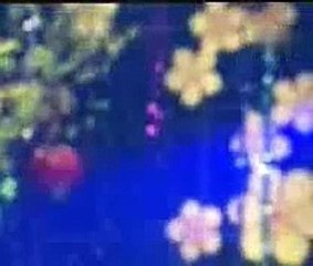 Anh Phải Làm Sao - Đan Trường