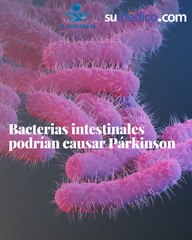 Bacterias intestinales podrían causar Párkinson
