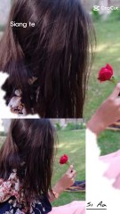 Some romentic lines for status