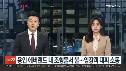 용인 에버랜드 내 조형물서 불…입장객 대피소동