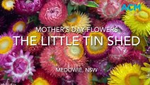 The Little Tin Shed get ready for Mother's Day