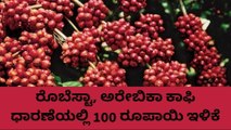 ಕೊಡಗು: ಹೀಗಿದೆ ನೋಡಿ ಇಂದಿನ‌ ಕಾಫಿ ಧಾರಣೆ