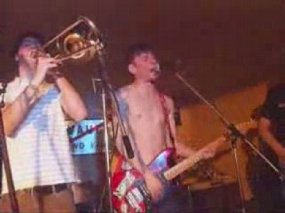 Buzz Nest live