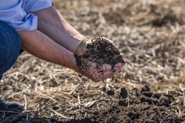 Lockrose Farm, Lockyer Valley, Qld - May 12, 2023 - Farmonline