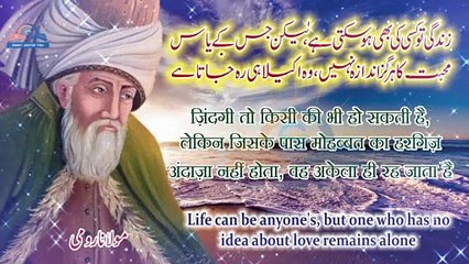 Molana Rumi Quotes | Urdu hindi English Best Quotes |