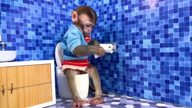 Monkey Baby Bon Bon oes to the toilet and plays with Ducklings in the swimming pool