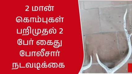 காஞ்சி: வீட்டில் பதுக்கி வைத்திருந்த மான் கொம்புகள் பறிமுதல்