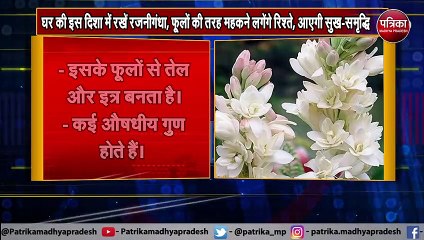 Vastu Tips - घर की इस दिशा में रखें रजनीगंधा