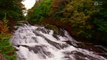 Serene Rapids: 1 Hour of Relaxing Sounds of a Cascading River