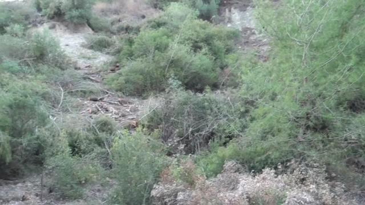 Osmaniye'de Kumarlı köyü sakinleri kum ocağına karşı çıkıyor