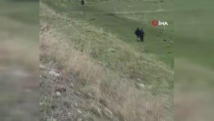 Ardahan'da kontrolden çıkan araç şarambole yuvarlandı: 1 ölü, 2 yaralı