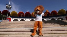 Un león que hace campaña en Benalmádena (Málaga)