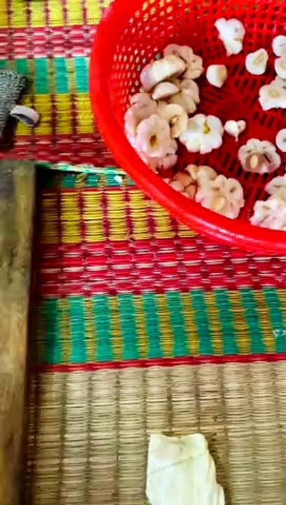 Gỏi gà măng cụt