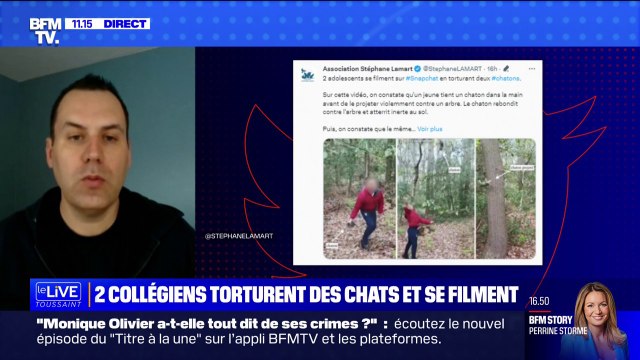 Stéphane Lamart, président fondateur de l’association Stéphane Lamart: Les animaux ont des droits et les hommes des devoirs à leur égard