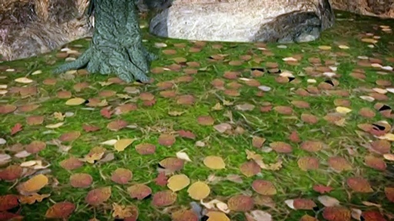 Videografik: So werden Waldbrände bekämpft