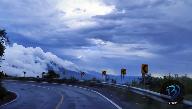 Pet-tainment: Fun, Educational, and Adorable Videos for Animal Lovers!